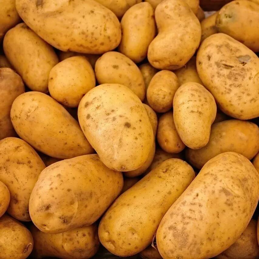Image of Potato